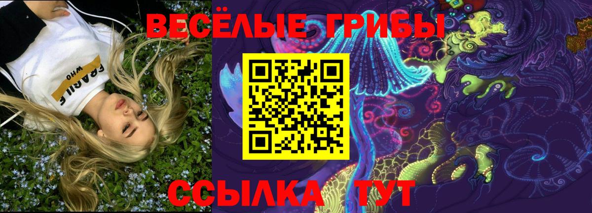 Галлюциногенные грибы Psilocybine cubensis Вятские Поляны