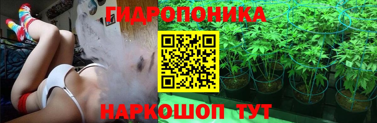 Бошки марихуана конопля  Вход с VPN  МАРИХУАНА сатива  Вятские Поляны 